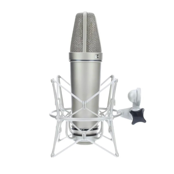 Студийный микрофон Neumann U 87 Ai Studio Set